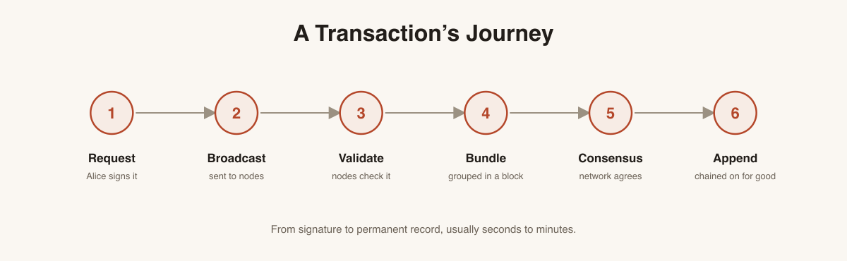 Six-step transaction lifecycle: request, broadcast, validate, bundle, consensus, append.